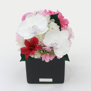 胡蝶蘭キューブM 花 お花 プリザーブドフラワー ギフト プレゼント お祝い 誕生日 お供え アレンジ インテリア 東京都 墨田区 イエロ×オレンジ