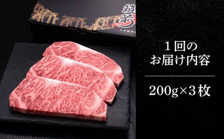 【全10回定期便】博多和牛 サーロイン ステーキ 200g × 3枚《築上町》【久田精肉店】 [ABCL011] 定番サーロインステーキ 人気サーロインステーキ 大人気サーロインステーキ 美味しいサー