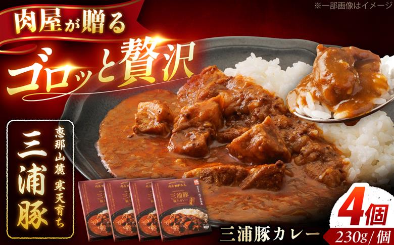 三浦豚カレー 4個セット (230g×4個) / カレー 三浦豚 レトルトカレー セット 恵那市 / 岩島屋 [AUAJ057]