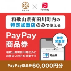和歌山県有田川町　PayPay商品券(60,000円分)※地域内の一部の加盟店のみで利用可