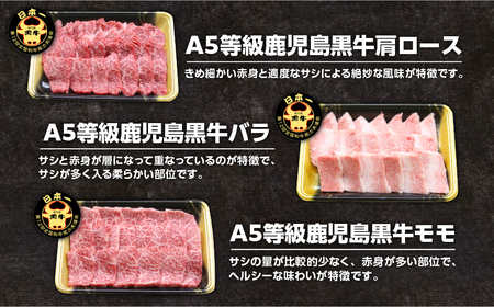 「 JAのお肉屋さん 」 A5 等級 ！ 鹿児島黒牛 焼肉 セット（計900g）　K234-001 肉 牛 牛肉 国産 黒毛和牛 黒牛 BBQ バーベキュー バラ カルビ 食べ比べ JA食肉かごしま 