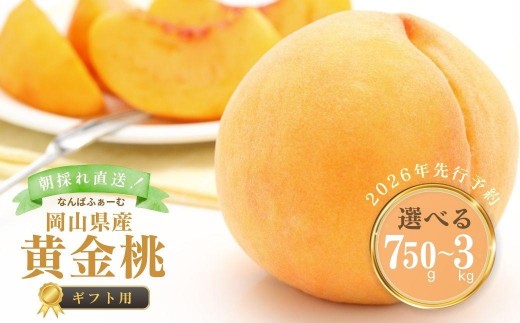 
                  ＜選べる容量＞【2026年先行予約】［なんばふぁーむ］岡山県産 黄金桃［ギフト用］ 750g～3kg |桃 もも モモ おうごんとう フルーツ 果物 贈答 贈答用 ギフト 朝採り旬産地直送 産直 送料無料 鏡野町
                