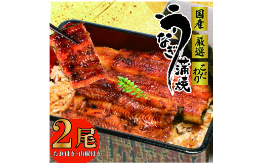 国産 うなぎ 2尾 土用 丑の日 指定日 可蒲焼 タレ 付き 山椒 付き ウナギ 鰻 蒲焼き 自家製 たれ うな雄の鰻蒲焼 静岡県 牧之原市