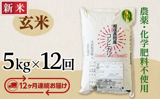 
E1-G05Z【12ヶ月連続お届け】新潟県長岡産コシヒカリ玄米5kg
