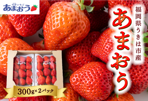 千年いちご あまおうイチゴ (300g×2パック) 2025年1月上旬から1月31日 出荷予定