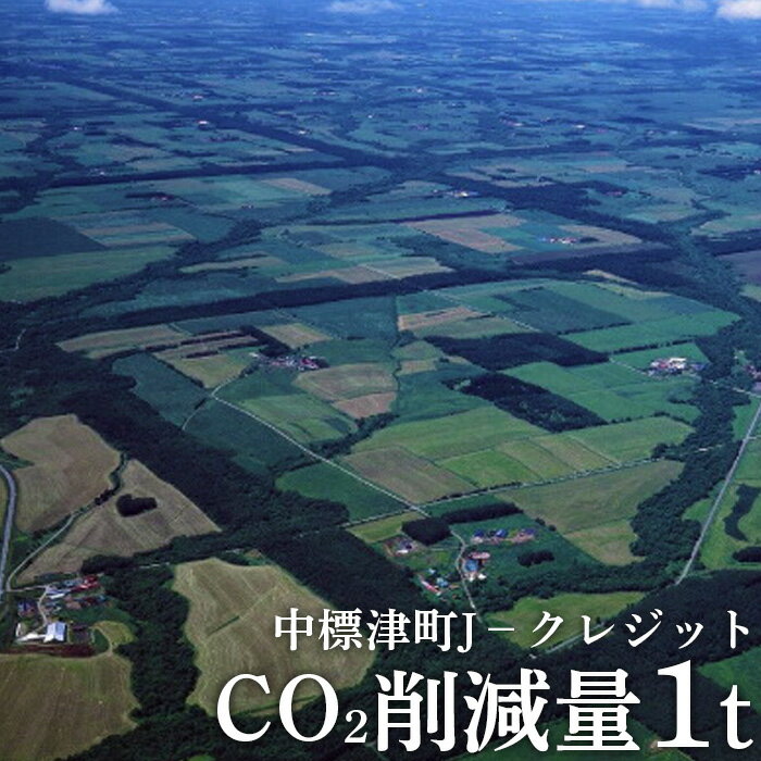 【ふるさと納税】中標津町Jクレジット CO2削減量1t カーボンオフ 地球温暖化防止 間伐促進 環境保全クレジット 木製コースター 雑貨 日用品 コースター ふるさと納税 北海道 中標津町 中標津【3800101】