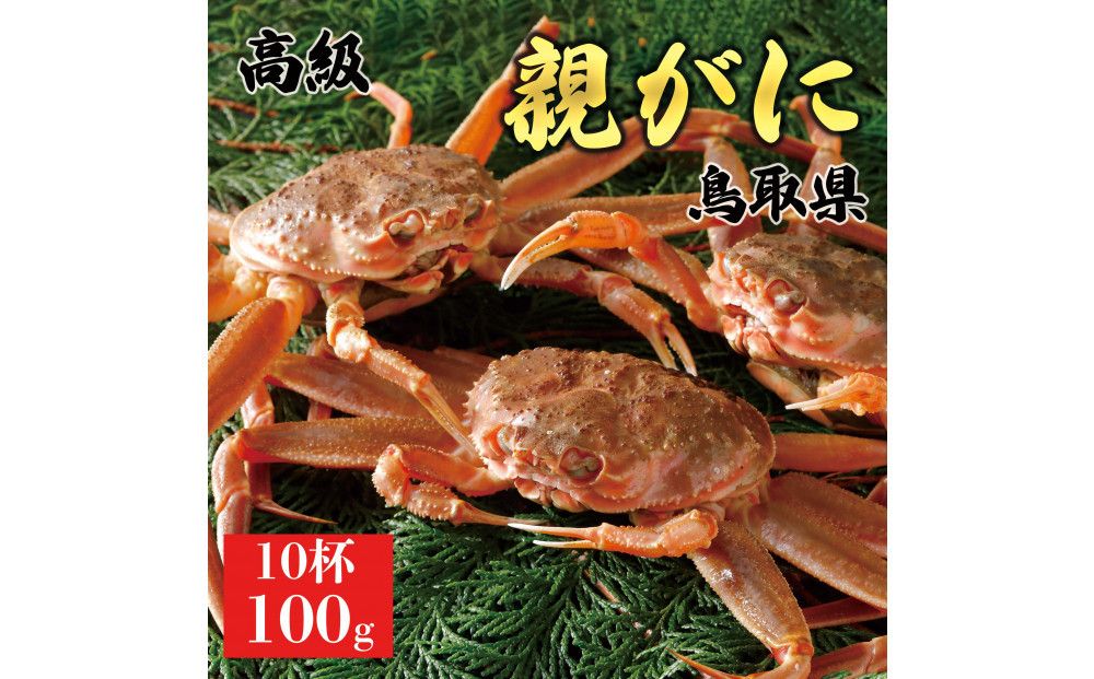 1073.【2025年11月発送】鳥取県産 特撰 親がに 姿【セコガニ】（なま）【訳あり】100g 10杯 313726_BS075