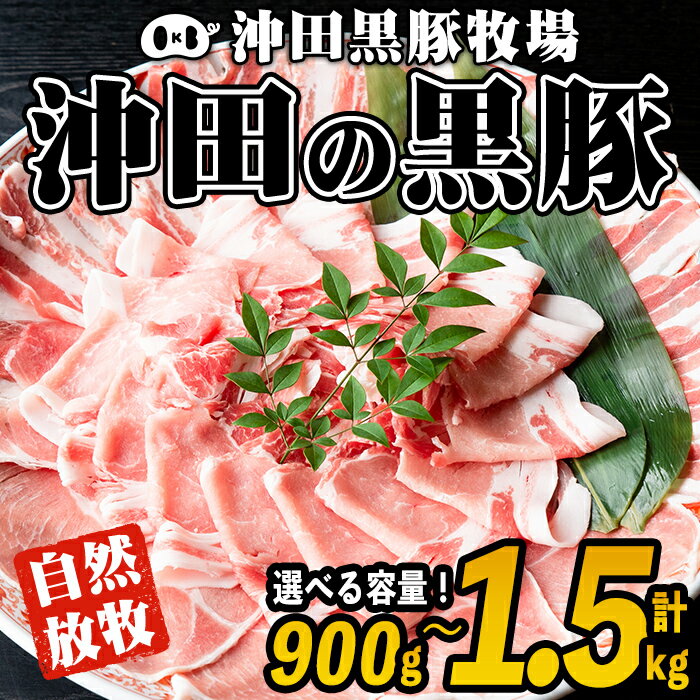 鹿児島県産！幻の黒・沖田の黒豚(計900g・ロース、肩ロース、バラ、モモ、ウデいずれか3パック) 国産 九州産 鹿児島 肉 お肉 黒豚 豚肉 生姜焼き しょうが焼き しゃぶしゃぶ 冷凍 冷凍便【沖田黒豚牧場】【A3-01】