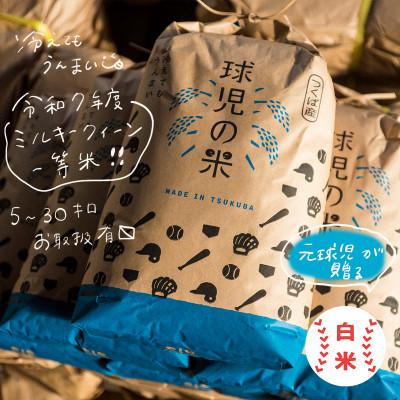 ふるさと納税 つくば市 令和7年産 新米 球児の米 (一等米 ミルキークイーン)白米 30kg(10kg×3袋)
