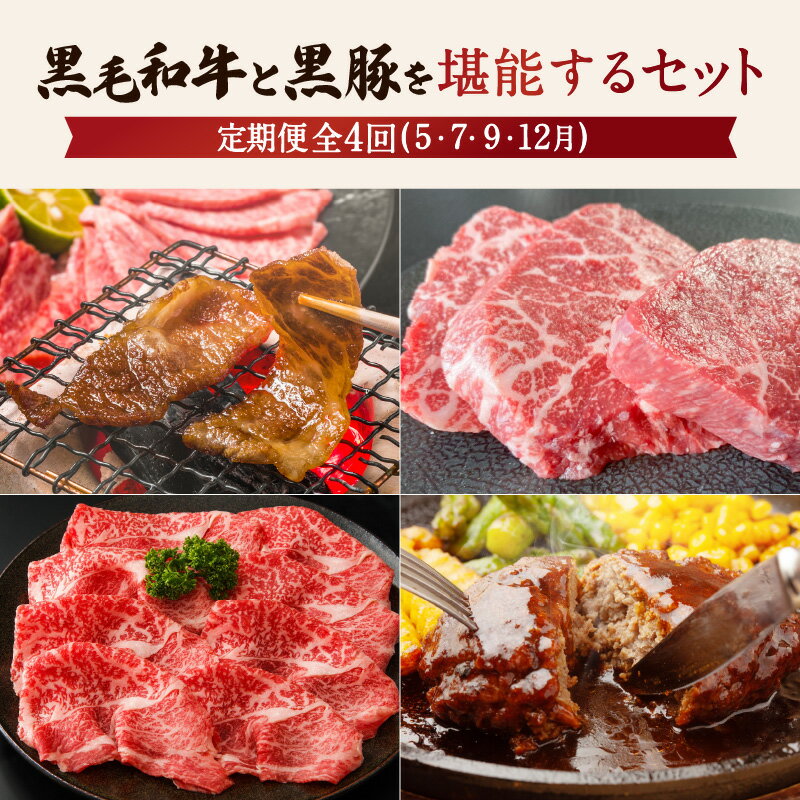 【ふるさと納税】【全4回】黒毛和牛と黒豚を堪能するセット 鹿児島県産 ブランド牛 和牛 国産牛 牛肉 肉 霜降り 黒豚 豚肉 ハンバーグ カルビ ステーキ 赤身 スライス すき焼き しゃぶしゃぶ 焼肉 BBQ 食べ比べ セット 贈り物 ギフト 鹿児島市 送料無料 定期便 MZ4