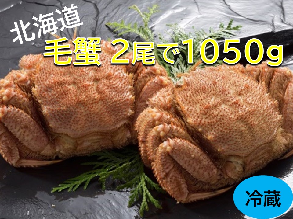 活ゆで毛蟹　2尾で1050～1100g【冷蔵】毛ガニ 毛かに 国産 北海道産