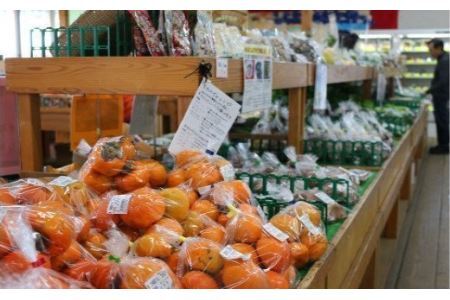 【6カ月定期便】厳選・「おおばん市場」旬の野菜詰め合わせ