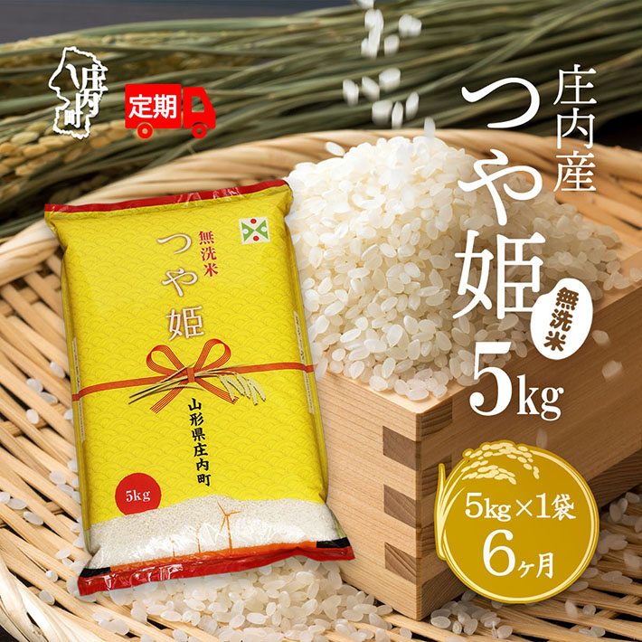 ＜11月下旬発送＞庄内米6か月定期便！つや姫無洗米 5kg（入金期限：2025.10.25）