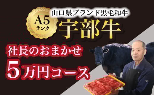 
            【山口宇部牛】社長おまかせ＜５万円コース＞黒毛和牛Ａ５ランク宇部牛【山口県 宇部市 牛 牛肉 黒毛 和牛 A5ランク ブランド 山口県唯一 地元発ブランド牛 希少 まちのお肉屋さん ストレスフリー オレイン酸60％以上 脂まで柔らかい おいしい 旨味 リピート】
          