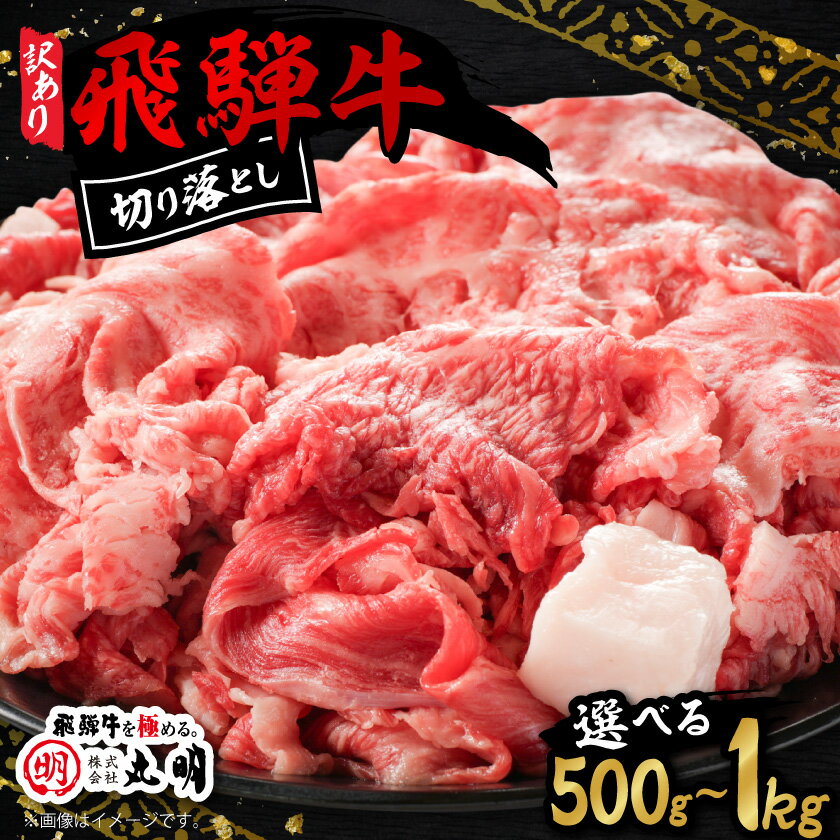 【ふるさと納税】【訳あり】飛騨牛　切り落とし(コマ切れ)[500g/700g/1kg]_ 肉 飛騨牛 牛肉 訳あり 切り落とし こま切れ 牛 お肉 精肉 牛脂付き 肉じゃが 牛丼 ハヤシライス 国産 【配送不可地域：離島】【G1043507】