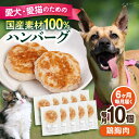 【ふるさと納税】【全6回定期便】ペットフード 鶏むね 100%ハンバーグ 10個セット ペット 愛犬 愛猫 おやつ ご褒美 ごはん 猫 犬 てづくり 国産 ドッグフード 【ペットフードYM japan】[AKEX008]