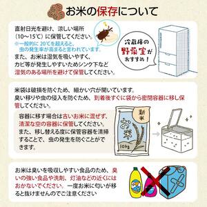 令和5年産 つがるロマン 中泊産 こだわりの有機米 （白米＆玄米セット） 10kg（5kg×2）＜有機JAS認証＞ 【瑞宝(中里町自然農法研究会)】 津軽 無農薬 自然農法 農薬不使用 オーガニック 