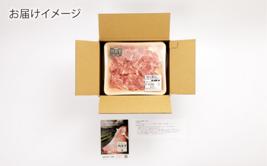 佐賀牛 切り落とし (小間切) 900g (300g×3) 【一ノ瀬畜産】 [NAC016] 肉 精肉 牛肉 佐賀牛 佐賀県産 黒毛和牛