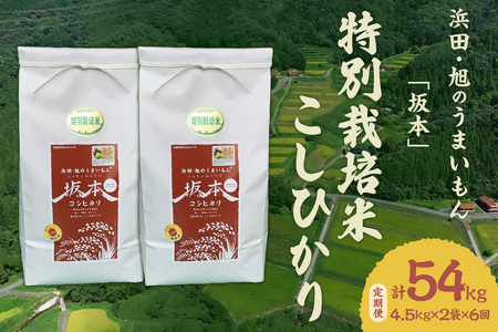 【定期便】【令和6年産】浜田・旭のうまいもん「坂本」特別栽培米こしひかり 4.5kg×2袋×6回 米 お米 こしひかり 特別栽培米 定期 定期便 6回 精米 白米 ごはん 新生活 特産 【1025】