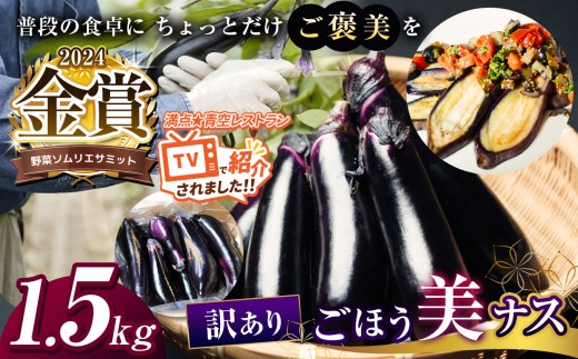 野菜ソムリエサミット金賞 訳あり「ごほう美ナス」 約1.5kg | 野菜  やさい 茄子 なす 野菜ソムリエ サミット 金賞 ごぼう美ナス  ご褒美 6000 円以下 とろとろ 真岡市 栃木県
