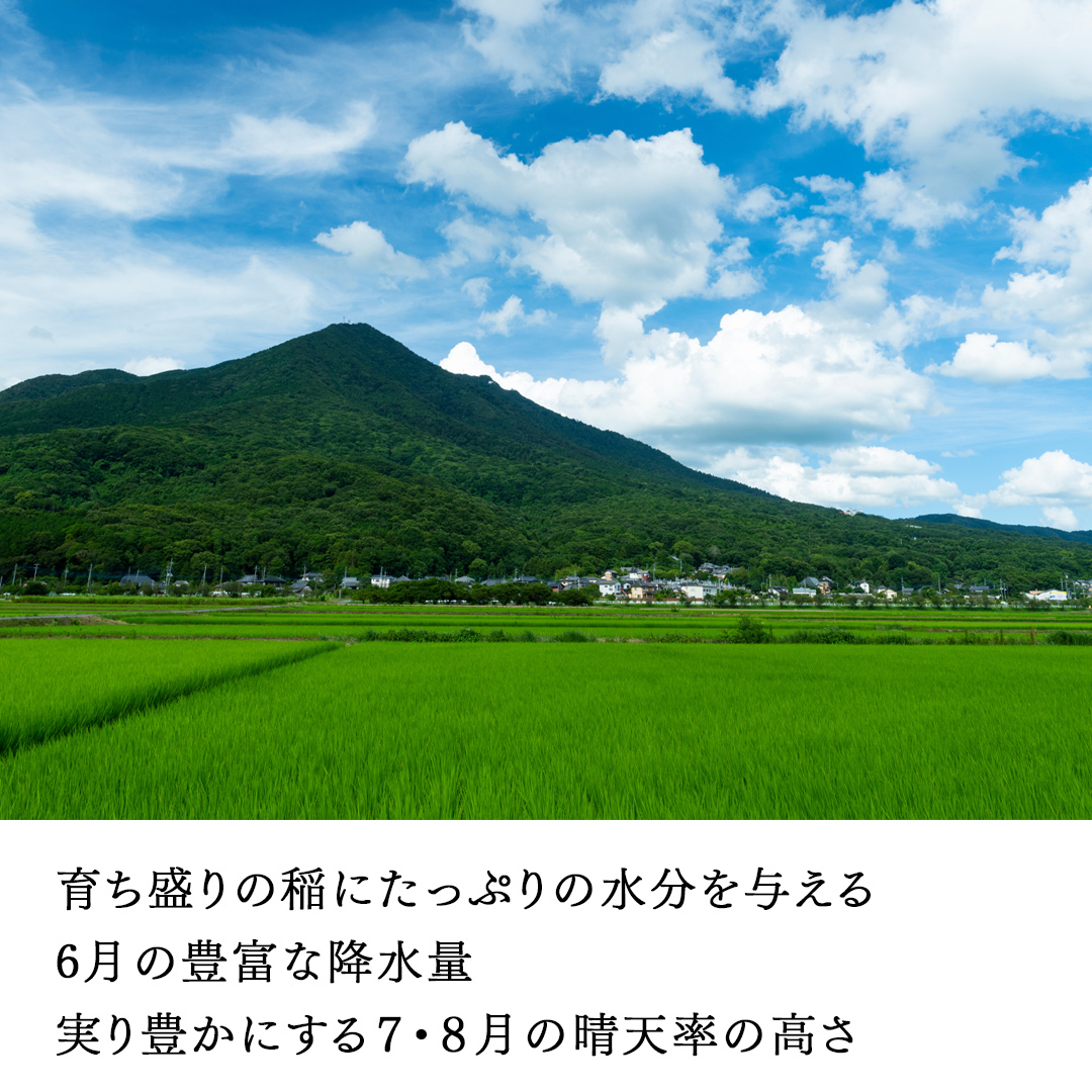 ＜ 新米 ＞ 令和7年産 茨城県産 玄米 コシヒカリ 5kg （5kg×1袋） 清米 キヨシマイ こしひかり 米 コメ こめ 単一米 限定 茨城県産 国産 美味しい お米 おこめ おコメ[EH29-N