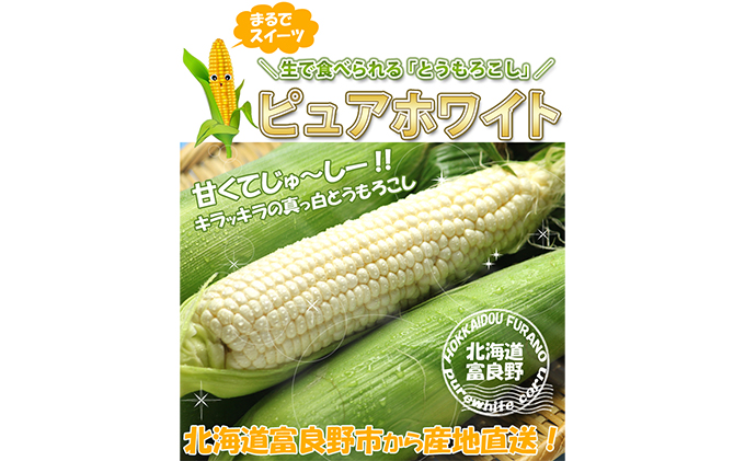 【2024年8月～発送】とうもろこし ピュアホワイト 10本 L～2Lサイズ 北海道 富良野産 生で食べられる  (スイートベジタブルファクトリー) とうもろこし とうきび コーン 野菜 新鮮 甘い ジューシー 贈り物 ギフト 道産 直送 ふらの