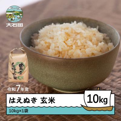 ふるさと納税 大石田町 米 令和7年産 はえぬき 玄米 10kg 10kg×1 順次発送 ap-hagxa10x1