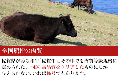 厳選佐賀牛 ロースステーキ 合計500g (3枚)当店一番人気の定番ステーキを皆様の食卓へお届け
