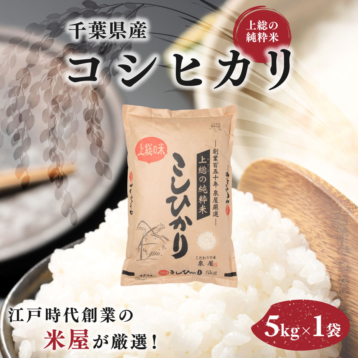 【ふるさと納税】令和8年度産 上総の純粋米「コシヒカリ」　5kg　【厳選】千葉県産 コシヒカリ　米 お米 精米 こめ おこめ送料無料 KCV002
