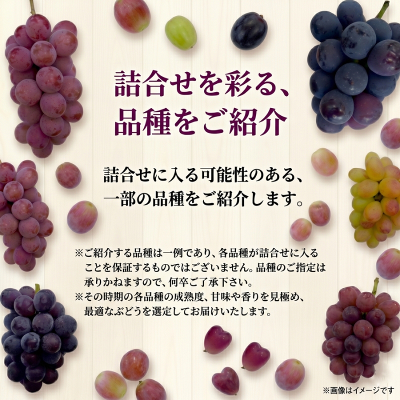 【37品種から厳選】大阪・柏原から届く「旬の宝石箱」大粒ぶどう詰め合わせ（シャインマスカット含まず）約2kg（2026年先行予約 8月下旬～9月上旬発送分）