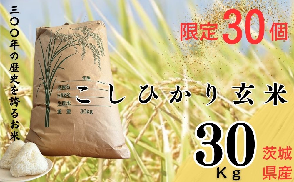 【令和7年産】限定30個「300年のお米」茨城県産コシヒカリ30kg 玄米 | 栄養 お米 こしひかり こめ ご飯 おむすび おにぎり 茨城 常総