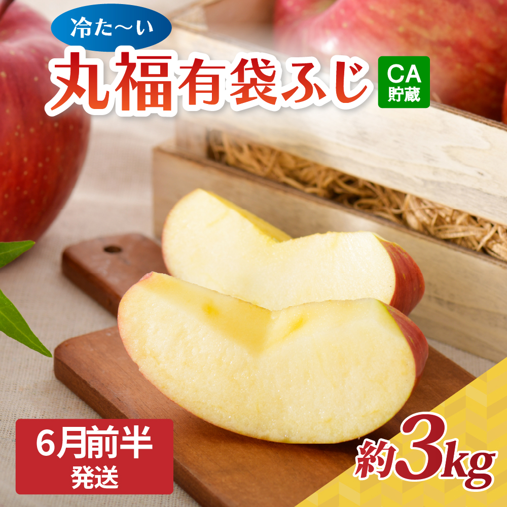 【2025年6月前半発送】 りんご 有袋ふじりんご 約 3kg CA貯蔵 丸福規格 有袋フジりんご 青森 五所川原