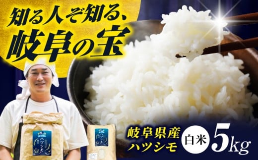 【令和7年度産】岐阜県産米ハツシモ5kg ハツシモ 白米 精米 米　岐阜市 / 藍川ファーム [ANHI001]