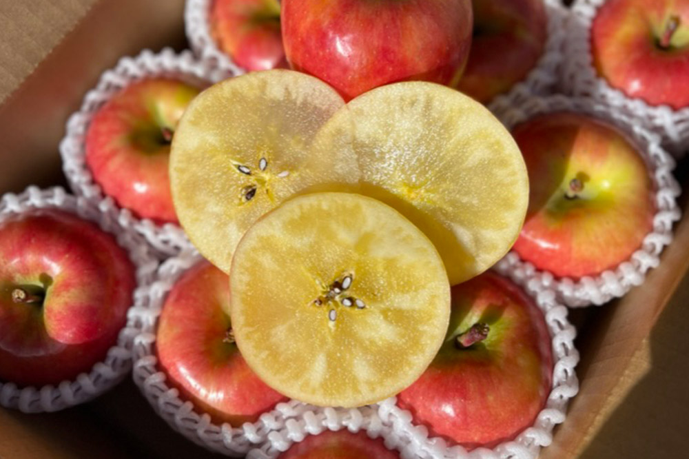 【25年11月出荷】りんご 權之丞 葉とらずりんご 高徳 （こうとく） 家庭用 約5kg【弘前市産・青森りんご】