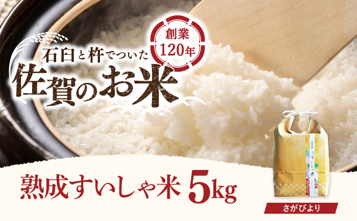 令和6年産  佐賀県産 さがびより 5kg / 米 お米 白米 精米 ブランド米 ごはん ご飯 主食【一粒】[NAO010]