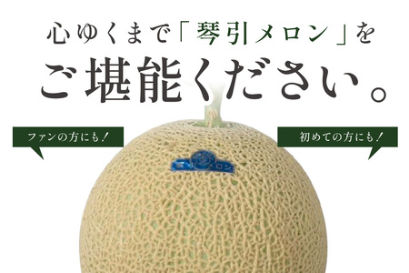 【先行予約／数量限定500】京のブランド産品 京たんごメロン 琴引メロン 1玉（2024年6月下旬～発送）