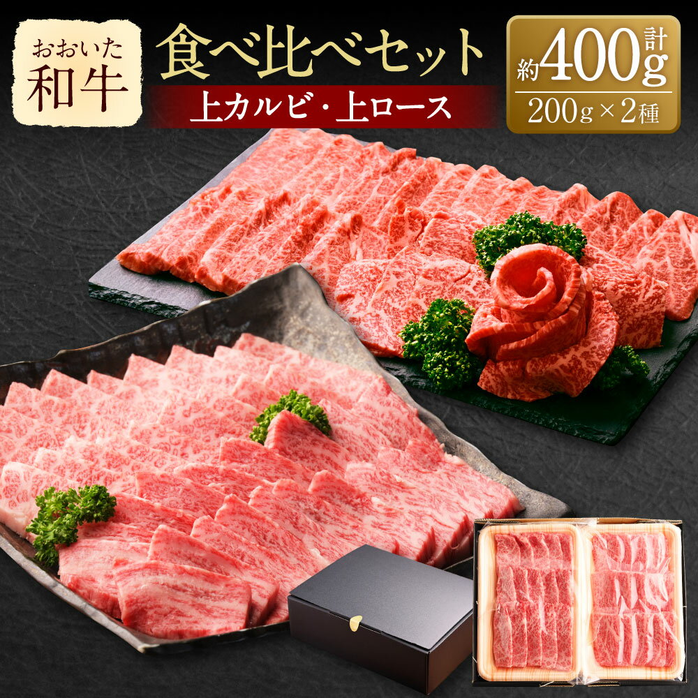 【ふるさと納税】おおいた和牛 食べ比べセットB 上カルビ 上ロース 200g×2種 計約400g 2～3人前 牛肉 和牛 国産 焼肉用 カルビ ロース 三角バラ リブロース サーロイン 肩ロース 詰め合わせ 盛り合わせ 焼肉 冷凍 大分 大分県産 竹田市 送料無料