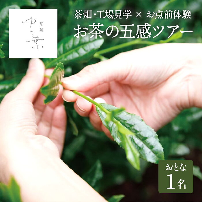 【ふるさと納税】お茶の五感ツアー(大人1名) 見学 体験 茶畑 宇治茶 抹茶 手摘み お抹茶 茶 お茶 飲み比べ 抹茶スイーツ スイーツ【uj-FT005】【茶舗ゆと葉】