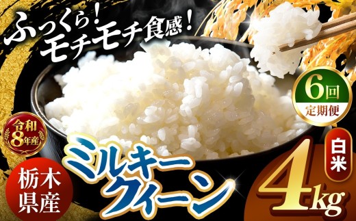 【令和8年産 先行予約】 ＼訳あり／ ミルキークイーン 白米 4kg 【定期便 ６回】 | 米 お米 コメ 白米  ライス ご飯 ごはん 美味しい 米 ミルキークイーン 4kg  銘柄米 ブランド米 令和8年産 産地直送  定期便 ６回 新米  国産 国産米 栃木県産 お米 栃木県産米 お取り寄せ  2026年産 米 kome 栃木県 真岡市