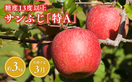 《3月発送》 サンふじりんご 「 特A 」規格 約3kg(8～10玉程度) 【糖度 13度以上 森山商店 平川市産 青森りんご 年明け発送 3月 林檎 リンゴ りんご サンふじ ふじ 特A規格 光センサー 選果 平川市 青森県】