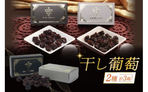 北海道完全無添加干し葡萄　DIONYSOS2種セット　計3箱