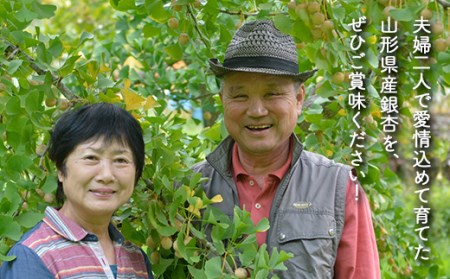 農家直送銀杏むき実 Lサイズ 500g（100g×5）山形県産 ぎんなん 《いとう農園》 茶碗蒸し おつまみ 季節限定 簡単 F4A-0312