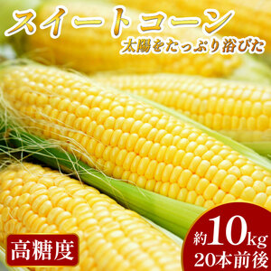 高糖度 スイートコーン 10kg 20本程度 国産 とうもろこし 送料無料 【スイートコーン】