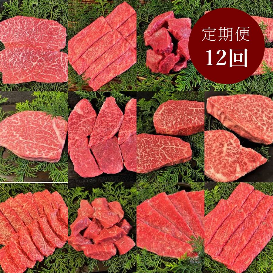 ＜古里精肉店＞「飛騨牛」A5等級『ヒレ・シャトーブリアン』&赤身【12ヵ月定期便】