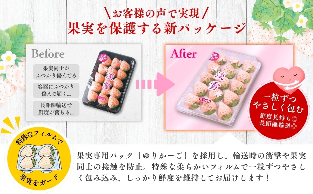 いちご 白いちご 淡雪 【先行予約】 (2パック入×1箱) いちご 苺 イチゴ 先行受付 ストロベリー 人気 ［C-01］