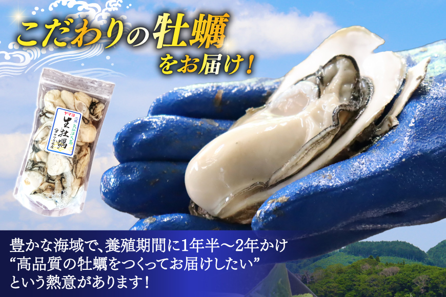 【期間限定発送】 ヤマヨ水産の牡蠣 加熱用 500g 《1月前半～出荷》 [気仙沼市物産振興協会 宮城県 気仙沼市 20565984] 牡蠣 かき 魚介類 海鮮 冬 冬牡蠣 冬かき 期間限定 冷蔵 加