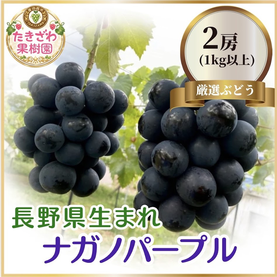 ナガノパープル 約1kg以上 2房 たきざわ果樹園 ぶどう 長野 マスカット ブドウ フルーツ 果物 【 果物類 】 