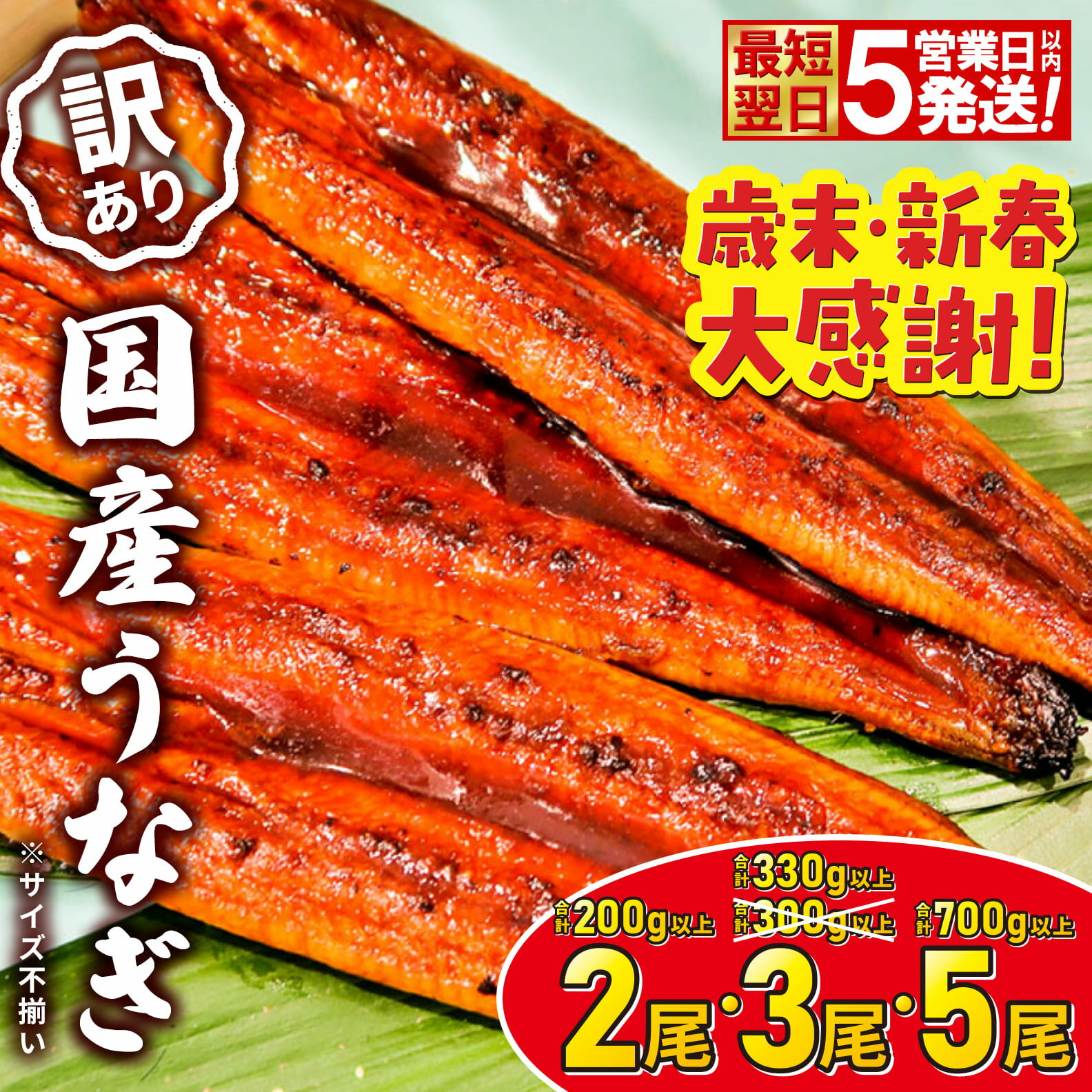 さかい河岸水産の国産うなぎ 3尾(300g以上) 訳あり サイズ不揃い
