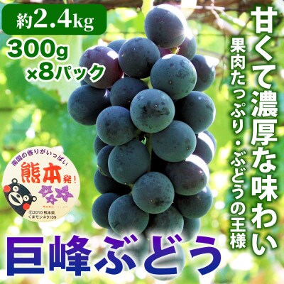 巨峰 ぶどう 8パック 約2.4kg(宇城市)【配送不可地域：離島】【1703494】