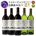 【ふるさと納税】 ワイン 赤 白 750ml 2本 飲み比べ セット シャトージュン 選べる 組合わせ 2品種 プティベルド カベルネ・ソーヴィニヨン セミヨン ソーヴィニヨンブラン メルロ 赤ワイン 白ワイン 記念日 誕生日 プレゼント ギフト 贈答 山梨 甲州市 (MG)